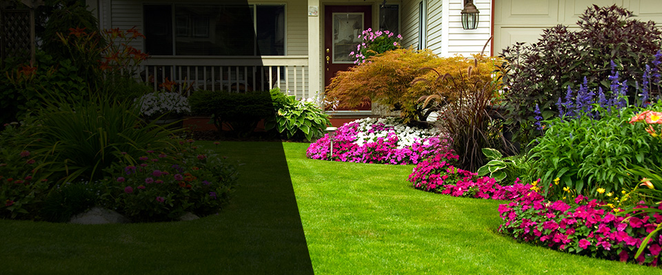 Old Forge Landscapers