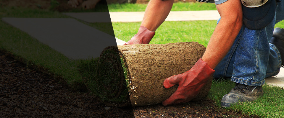 Old Forge Landscapers